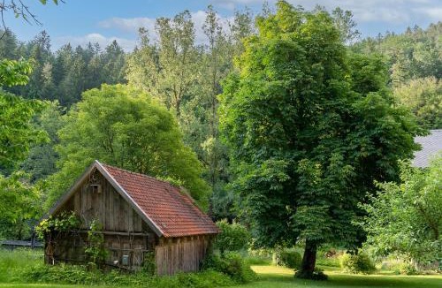 Neunburg vorm Wald Apartment | Ferienwohnungen Mittermurnthal