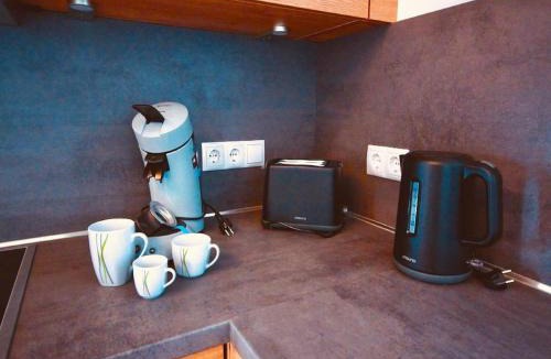 Bischofsmais Apartment | Ferienwohnungen Ebner