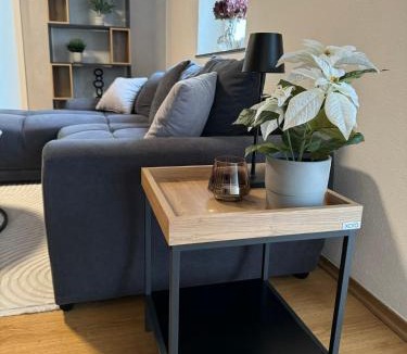 Bischberg Apartment | FeWo Kümo III an der Regnitz Bischberg's