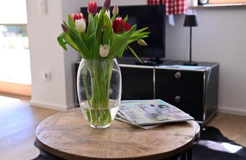 Bad Wiessee Apartment | FEWO RISSERKOGEL das Original mit großem Garten