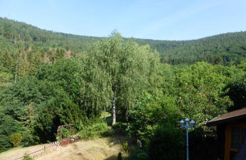 Kirchzell Apartment | Fewo Tannenhof 1