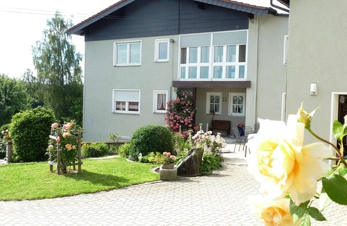 Stammbach Apartment | FeWo Wiesenblick | Ebenerdige 1,5-Raum FeWo mit 35qm und einer Terrasse