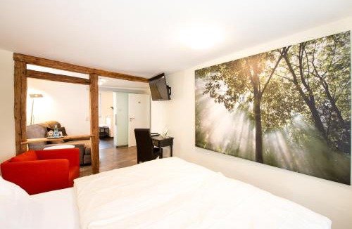 Miltenberg Hotel | Flair Hotel Hopfengarten