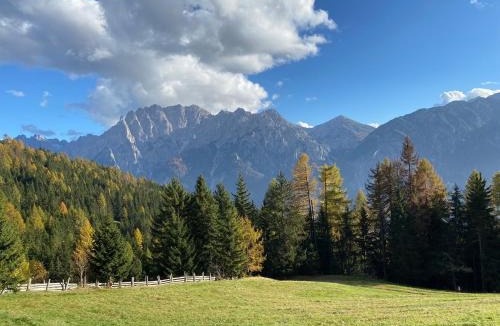 Assling House | Flasswiesen Alm