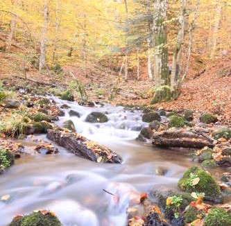 Bruckmuehl Apartment | Fowo-Mangfalltal Erholung am Fluss Nähe München schnelle Anbindung zum Oktoberfest