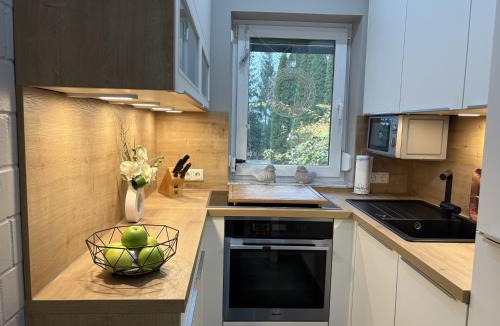Lichtenberg Apartment | Frankenwald Ferienhaus FourStars am See in Lichtenberg, Bayern, Oberfranken, Bad Steben - Hof -Saale, Rennsteig