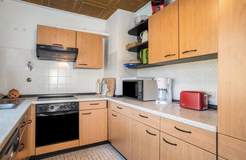 Bad Peterstal-Griesbach Apartment | Frechehof Apartment 136 sqm with Mountain View, Shared Garden and Wi-Fi