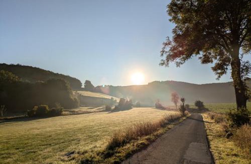 Sundern-Allendorf Apartment | Fuchsbau nähe Sorpesee, ebenerdig mit Kamin und Garten