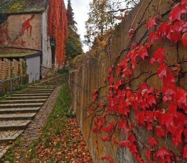 Siegenburg Bed & Breakfast | Gästezimmer Reitinger