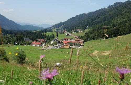 Balderschwang Apartment | Gemütliche Ferienwohnung Bergwiese, 2-Raum, separates Schlafzimmer, schönen Balkon oder Terrasse, Komfort Ausstattung, ruhige Südlage, kostenfrei WLAN und schöne helle Sauna, Brötchenservice, Parkplatz, Hunde auf Anfrage, E-Tankstelle, Sonnenlage