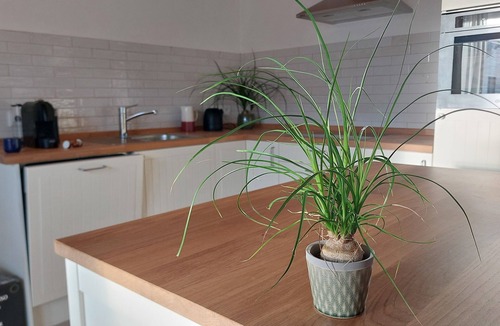 Kraftisried Apartment | Gemütliche Neue Wohnung in Altem Bauernhof im Ostallgäu