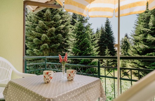 Wurding Apartment | Geräumiges Zwei-raum-appartement mit Balkon