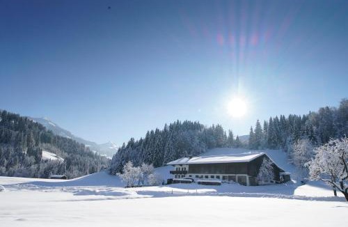 Westendorf House | Getznerhof