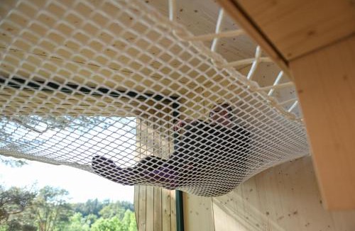 Salem House | Green Tiny Spot Salemer See - Tiny House Nook 5
