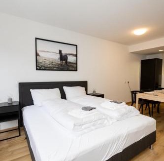 Wurzburg City Centre Apartment | Große Ferienwohnungen in der Altstadt