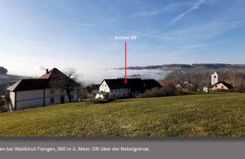 Waldshut-Tiengen Apartment | Großes Apartment Evergreen bis 8 Personen bei Waldshut