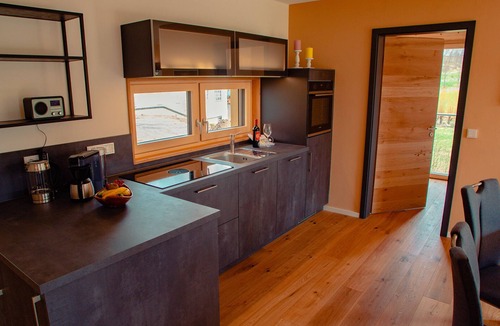 Bad Alexandersbad Apartment | Großzügiges Ferienhaus für bis zu Vier Personen mit Großer Sonnenterrasse