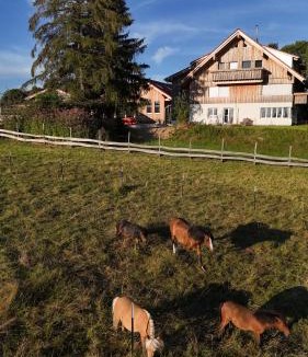 Gruenenbach Apartment | Gronewald's Mountain View Holidays
