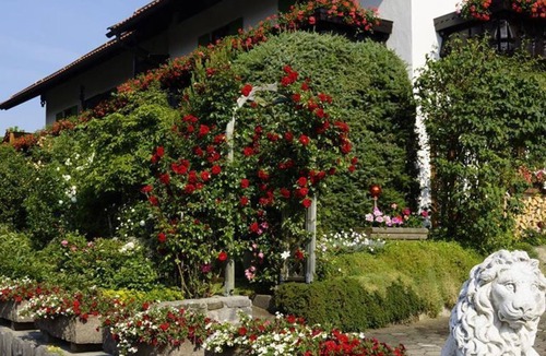 Bad Kohlgrub Apartment | Guesthouse Eisgruber - Apartment (Type C)