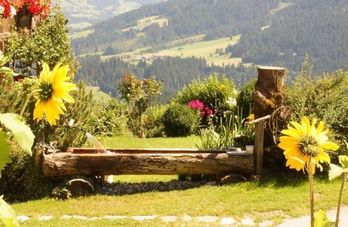 Hopfgarten im Brixental Apartment | Hühnersbichlhof - Wartlsteiner Markus - Apartment/3 bedrooms/shower, WC