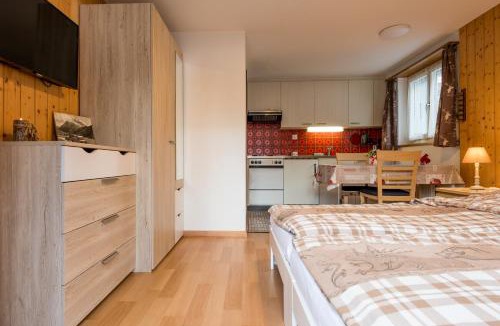 Saas Grund Apartment | Haus Alpenblick