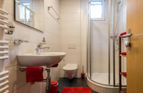 Saas Grund Apartment | Haus Alpenblick