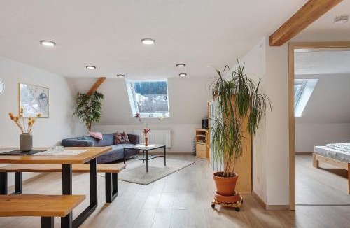 Voehrenbach Apartment | Haus an der Breg