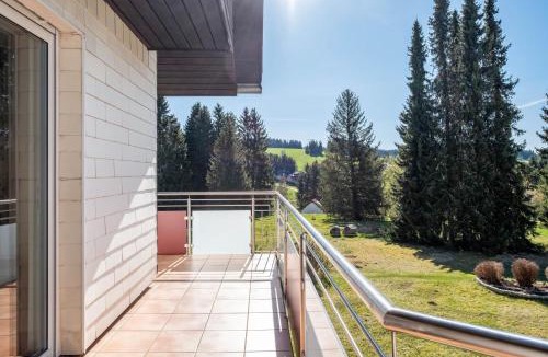 Schoenwald House | Haus Gutach