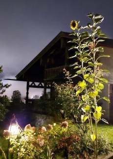 Bayrischzell Apartment | Haus Sunnleitn Vogelsang