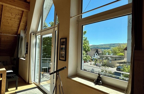 Gaienhofen Apartment | HERE HESSE WROTE, HERE DIX PAINTED. - THE HÖRI WILL INSPIRE YOU TOO!