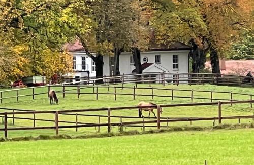 Ammerland House | Herrenhaus - Starnberger See - Ammerland