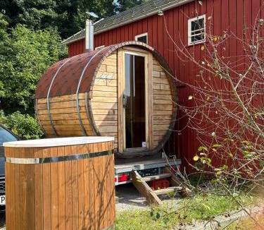 Hohnstein Apartment | HohnsteinOase-Infrarot Sauna-3 Schlafzimmer-Waschmaschine