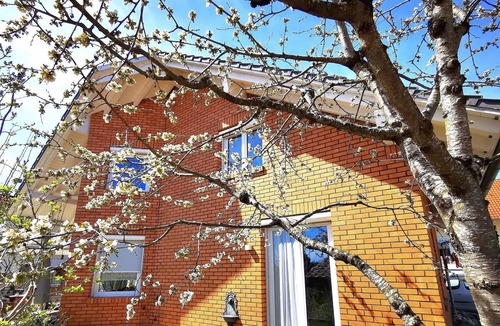 Eigeltingen Apartment | holiday apartment/apt. for 4 guests with 78m² in Eigeltingen (152972)