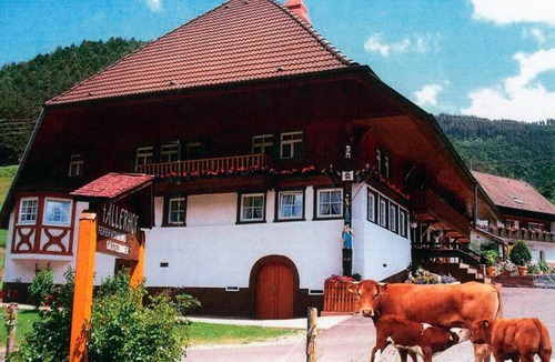 Elzach Apartment | Holiday Apartment 'Faller' with Private Terrace, Balcony and Wi-Fi