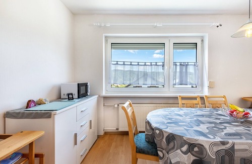 Frauenau Apartment | Holiday Apartment 'Fewo Arber up to 10 Guests, Mountain View' with Balcony & Wi-Fi