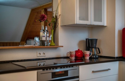 Guetenbach Apartment | Holiday Apartment 'Schwarzwald Chalet - Karlshütte' with Mountain View, Private Terrace & Wi-Fi