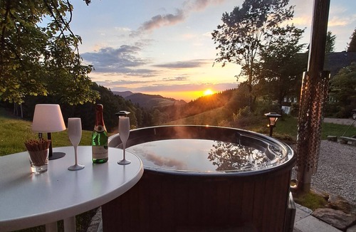 Guetenbach Apartment | Holiday Apartment 'Schwarzwald Chalet - Karlshütte' with Mountain View, Private Terrace & Wi-Fi