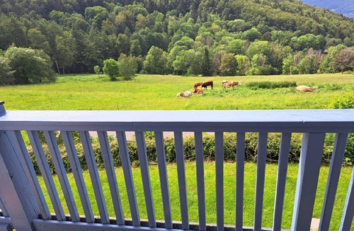 Schofweg Apartment | Holiday apartment Schöfweg for 1 - 3 persons with 1 bedroom - Holiday apartment in one or multi-fami