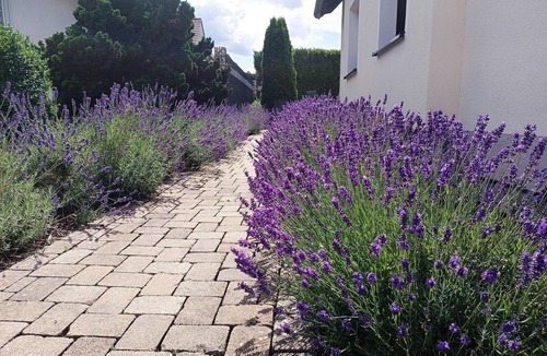 Sundern Apartment | Holiday Apartment 'Sonnenblick Und Relax' with Private Terrace, Shared Garden and Wi-Fi