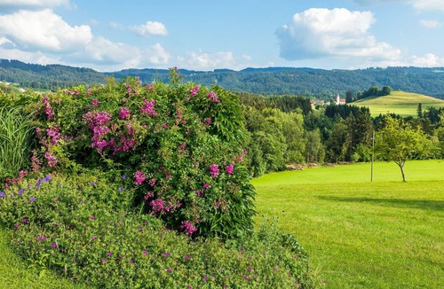 Hergensweiler House | Holiday flat "Obstwiese"