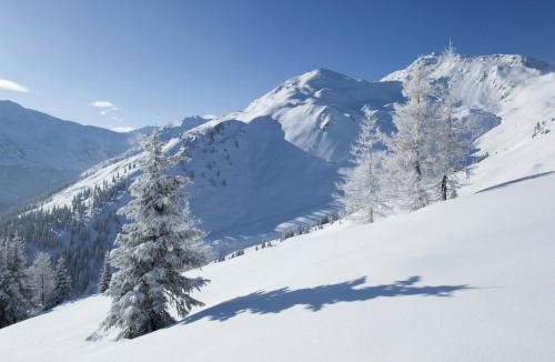 Stumm Apartment | Holiday home in Kaltenbach near ski lift