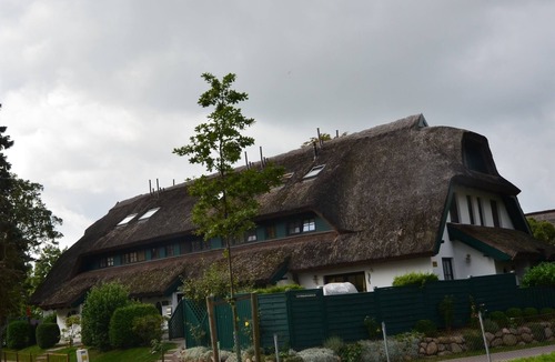 Gross Zicker House | Holiday house for 8 guests with 100m² in Groß Zicker (20545)