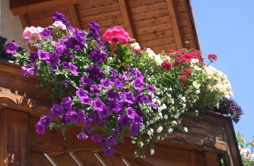 Imst House | Holiday house Imst for 1 - 10 persons with 5 bedrooms - Holiday house
