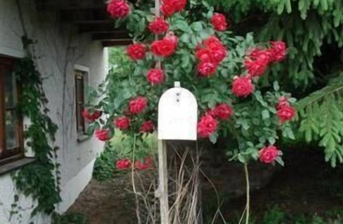 Kroning House | Holiday house Kröning for 1 - 4 persons with 2 bedrooms - Holiday home