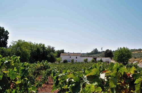 Montilla Villa | Homerez - Villa in Montilla