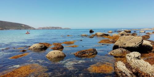 Malpica de Bergantinos House | Hostal J.B