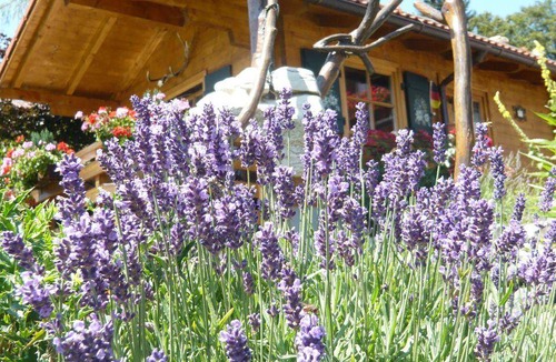 Ofterschwang Hotel | Hotel ∙ 1 bedroom ∙ 1 guest