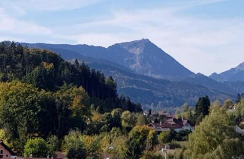 Siegsdorf Hotel | Hotel Garni Edelweiß