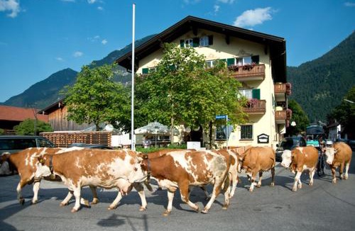 Farchant House | Hotel Gasthof Alter Wirt