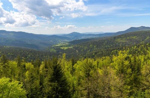 Lam Hotel | Hotel Sonnbichl